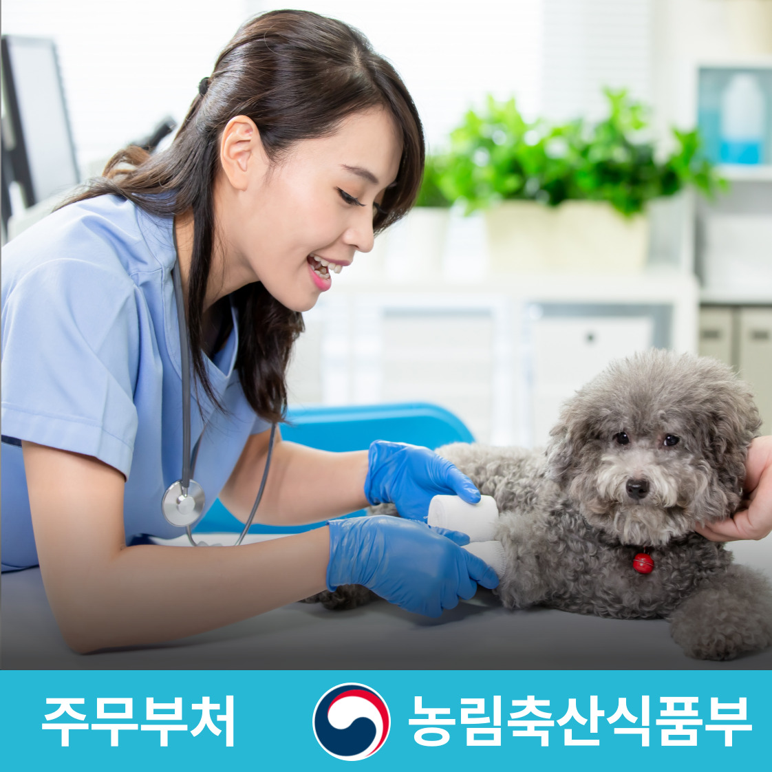 슬라이드 이미지