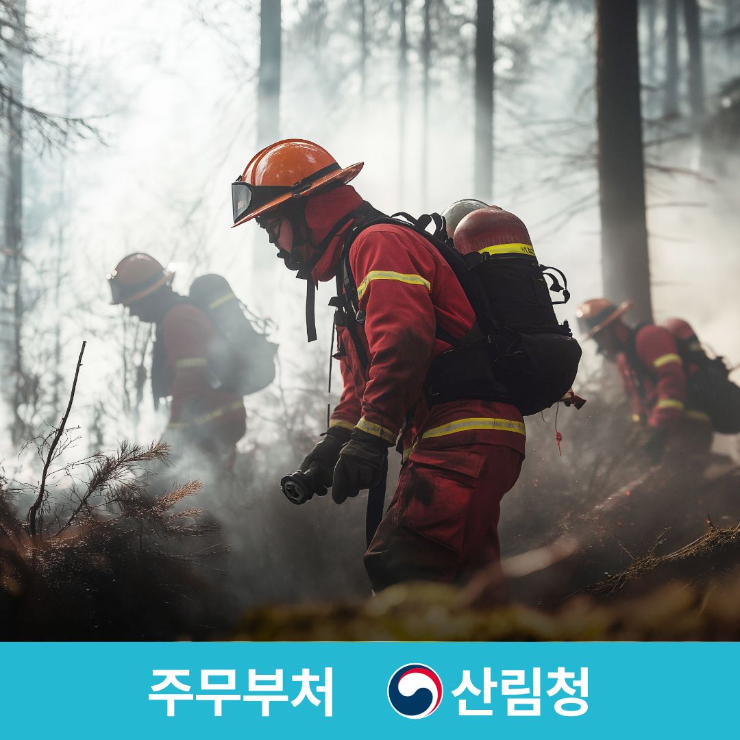 슬라이드 이미지