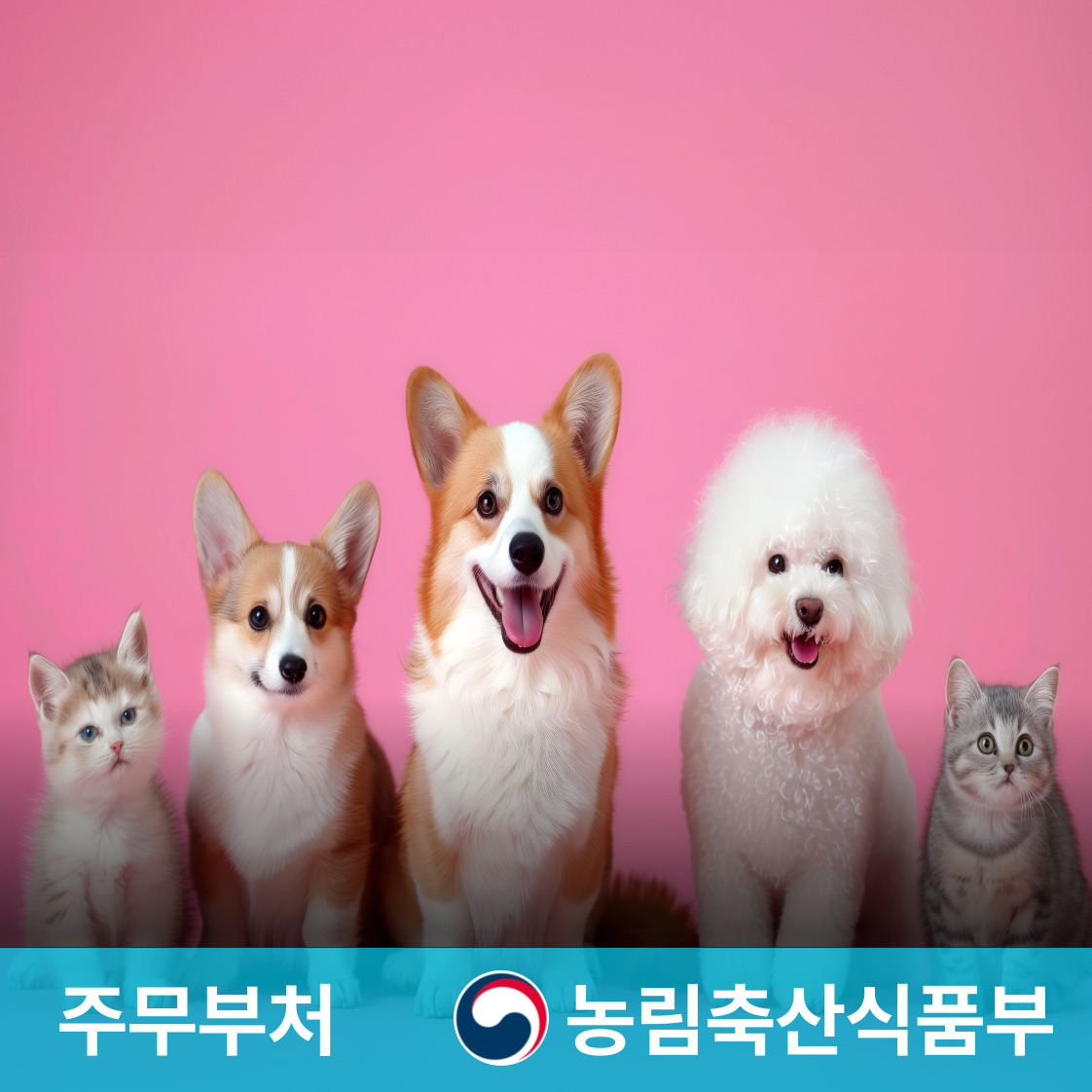 슬라이드 이미지